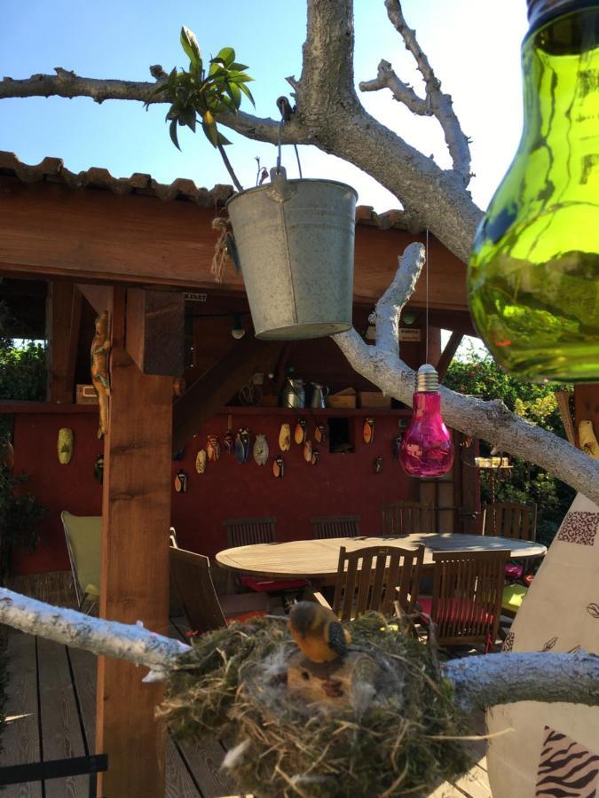 Saint-Paul-lès-Romans Les Pascals Bed & Breakfast エクステリア 写真