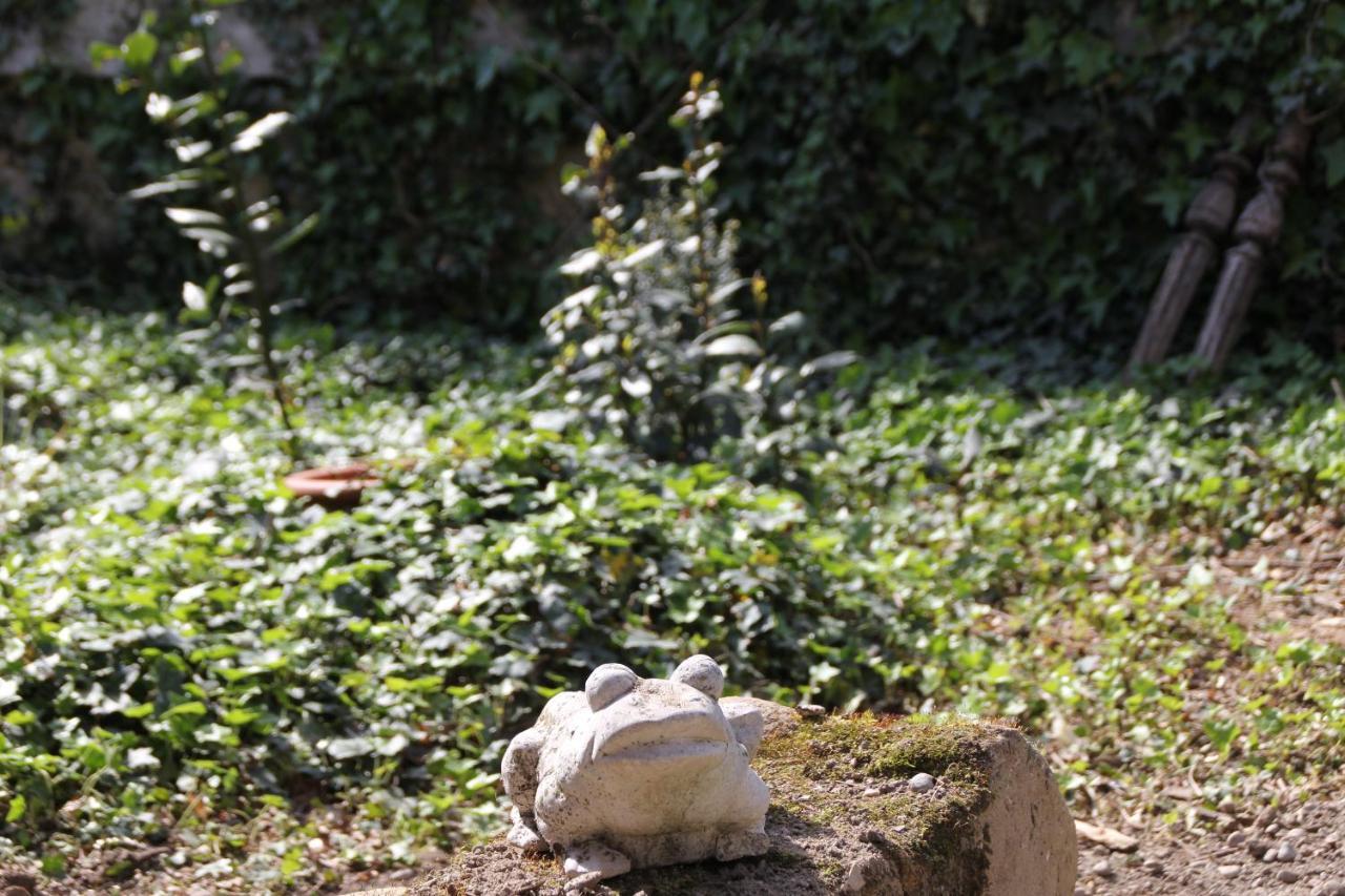 Saint-Paul-lès-Romans Les Pascals Bed & Breakfast エクステリア 写真