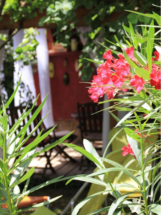 Saint-Paul-lès-Romans Les Pascals Bed & Breakfast エクステリア 写真