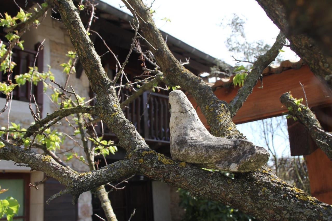 Saint-Paul-lès-Romans Les Pascals Bed & Breakfast エクステリア 写真
